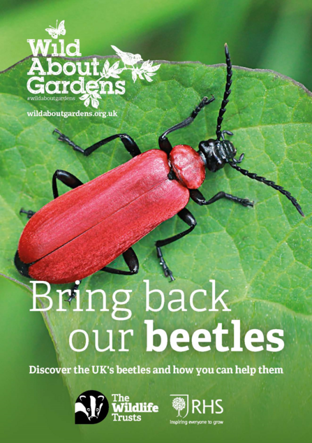 wild about gardens help beetles free leaflet front cover image