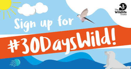 30 days wild homepage banner