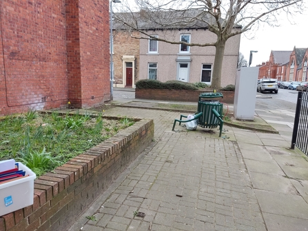 A planter on Edward St, Carlisle, before it is revived through the Nextdoor Nature project