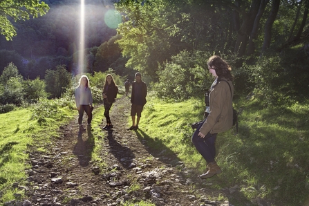 A group walking down a woodland path in sunshine