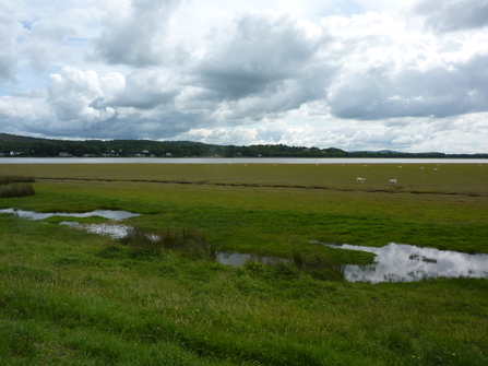 The-Kent-estuary