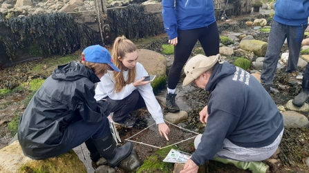 Rocky shore survey volunteers. St Bees 2023