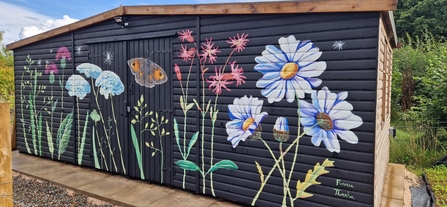 Image of wildlife mural painted by Florence Thornton on seed bank at Gosling Sike credit Cumbria Wildlife Trust