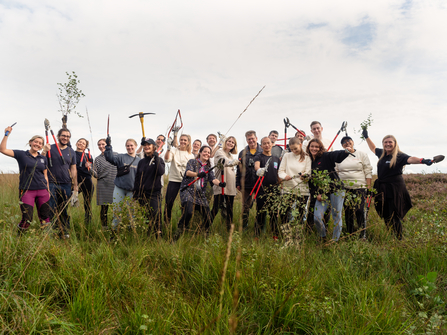 Image of staff at Ticket Tailor cheering on conservation day at Foulshaw Moss Nature Reserve