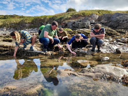 Image of people looking in rockpool