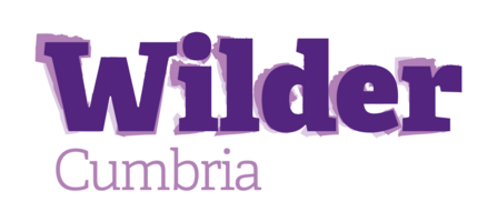 A purple text logo saying 'Wilder Cumbria'