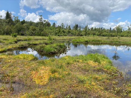 Peatland Assistant Grace Fuller reflections