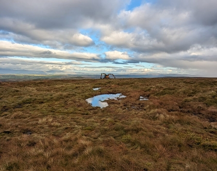 Peatland Restoration