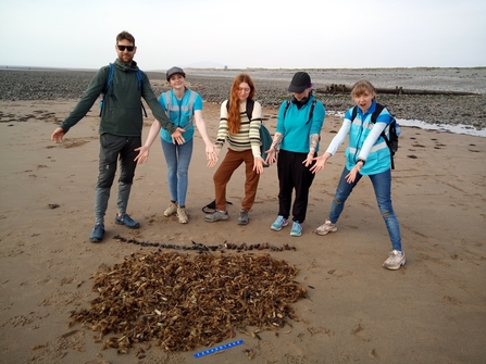Image of shoresearchers with ray and shark egg cases off Walney