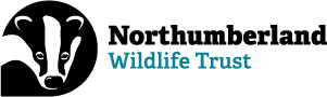 Northumberland Wildlife Trust logo