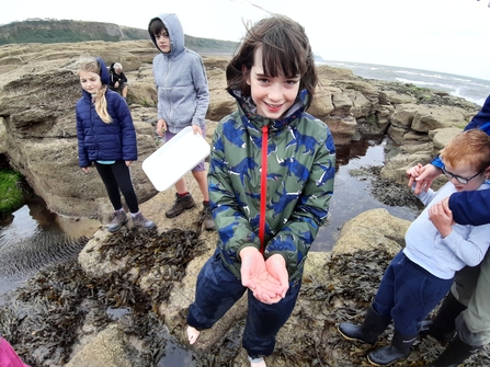 Image of children looking for rockpool sealife creatures