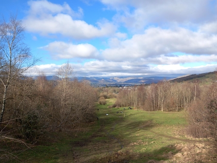 School Knott woodland, Windermere