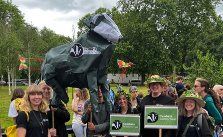Image of people at rally holding up hand-made Cumbria Wildlife Trust badger