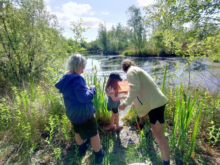 People pond dipping at Foulshaw Moss Nature Reserve, part of Witherslack Wetlands