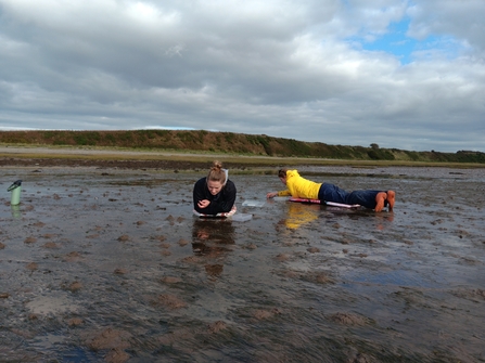 People lying on body boards on the seashore, dressed in waterproofs, collecting seagrass seeds.