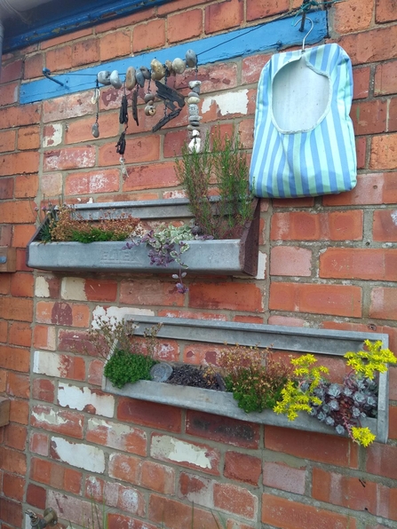 Vertical planting wildlife gardening credit Abi Paine
