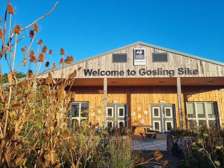 The front of a single-storey wooden clad building saying Welcome to Gosling Sike.  Long stemmed teasel is in the corner.