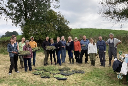 Group of adults standing in a field with wildflower plants for planting