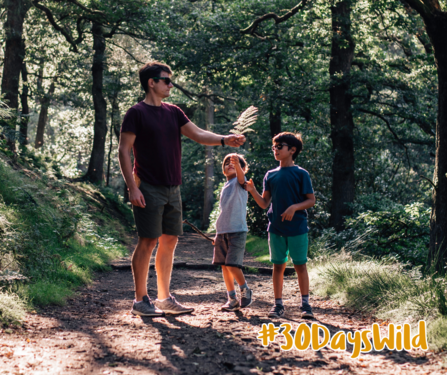 A man and two children on a sunlit woodland path, looking at a leaf from a fern