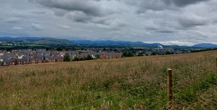 Image of Cold Springs Community Nature Reserve with houses in background