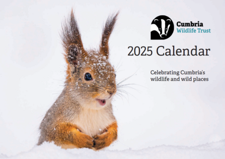 front cover calendar 2025