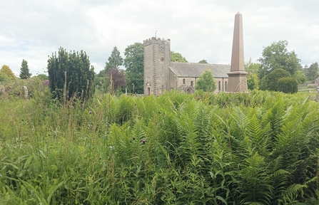 St Oswald's Church Ravenstonedale in background with bracken in foreground