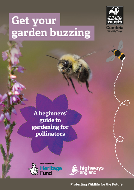Cumbria Wildlife Trust -A beginners guide to gardening with pollinators front cover thumbnail