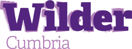 Wilder Cumbria primary landscape TRANSPARENT logo