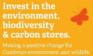 Invest in the environment, biodiversity and carbon stores. Making a positive change for Cumbria's environment and wildlife.
