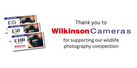 wilkinson camera
