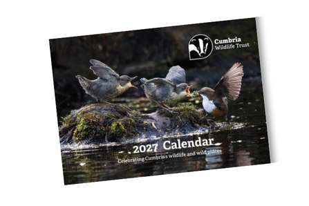 2027 calendar 