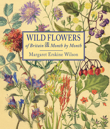 Book cover of 'Wild flowers of Britain month by month' by Margaret Erskine Wilson