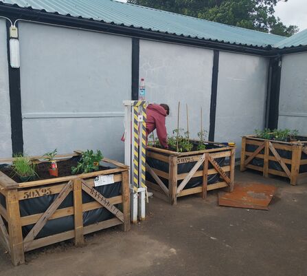 homemade planters