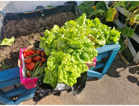local produce
