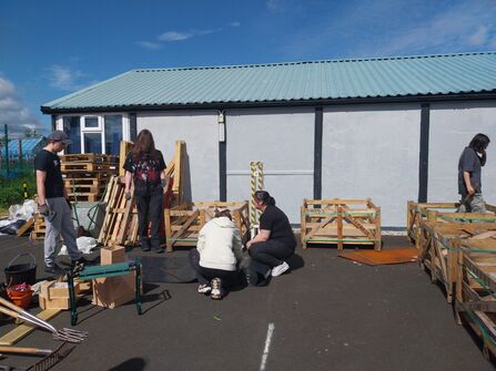 young people gathering pallets