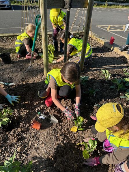 1st wetheral brownies planting vegetable patches at Carlisle Healthcare South