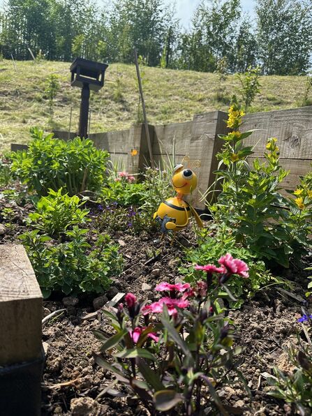 Bee friendly raised bed at South Carlisle Health Care