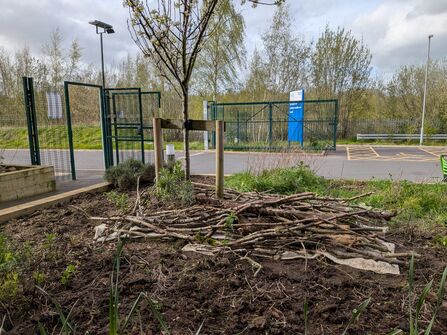 South Carlisle Health Care case study - before planting