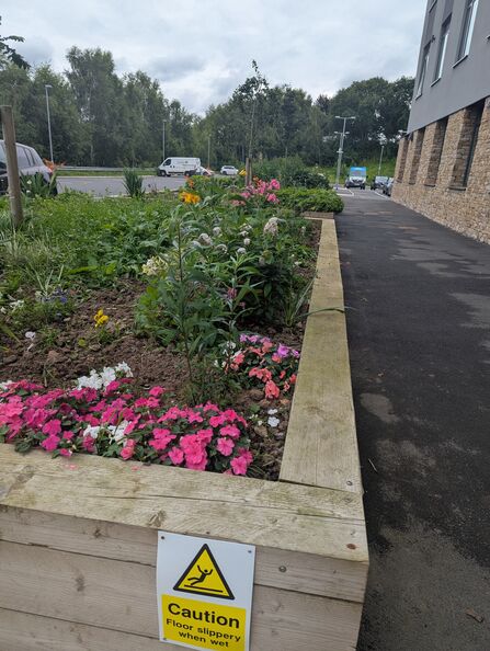 Carlisle Healthcare South - raised beds with wildlife friendly plants established