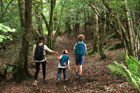Three children with backpacks walking up hill in woodlands
