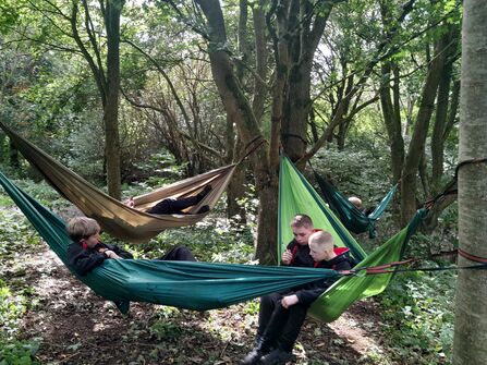 Young people in hammocks in woodland