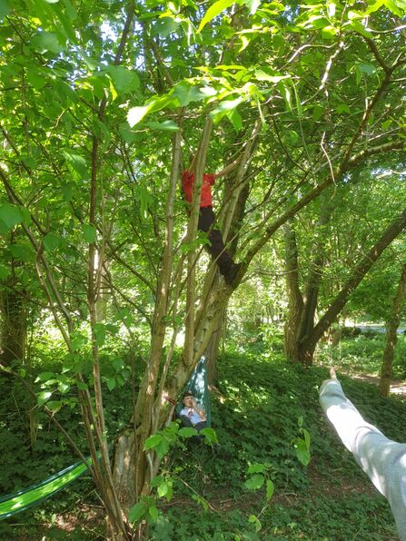 young person tree climbing at forest school