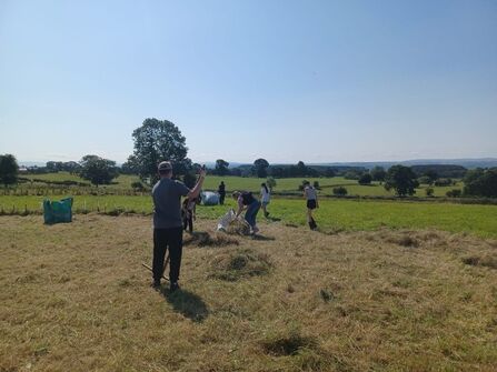 Volunteers hay making 
