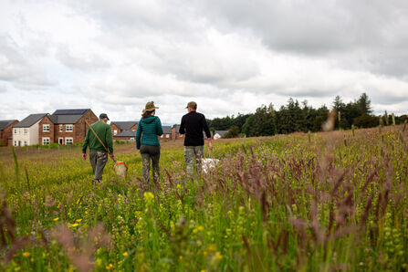 People walking through Cold springs community nature reseve