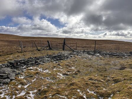 Boundary fence at Skiddaw Forest before repairs