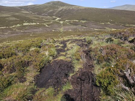 View of Skiddaw Forest nature reserve with damaged peatland in foreground