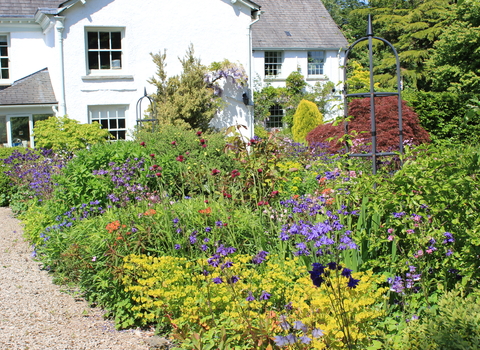 Plumgarths office and wildlife garden