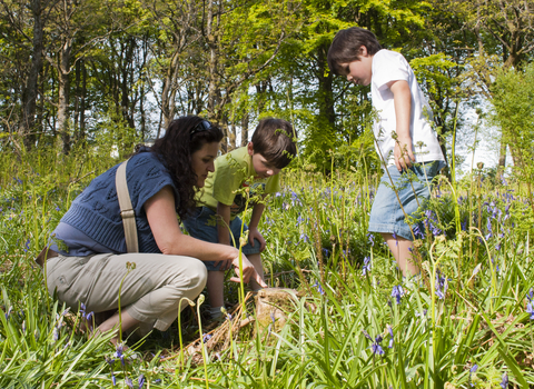 image of family in bluebell wood