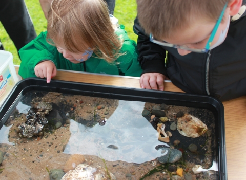 Image of kids looking into a mobile rock pool