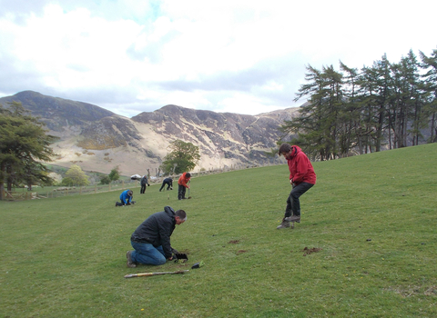 Image of Volunteers plug planting hay meadow